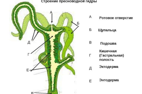 Kraken ссылка tor официальный сайт