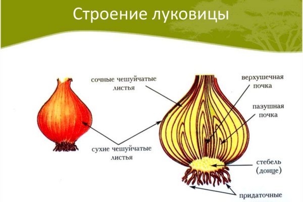 Актуальное зеркало на кракен