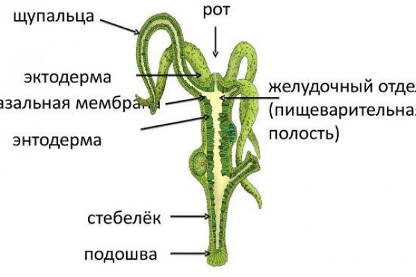 Кракен наркошоп сайт