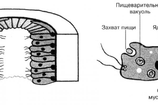 Как пополнить баланс кракен